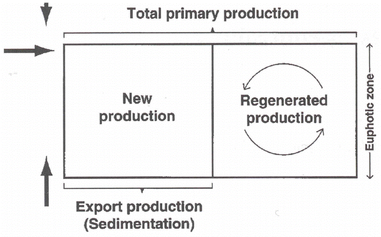 sedFig2