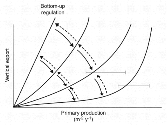 sedFig6