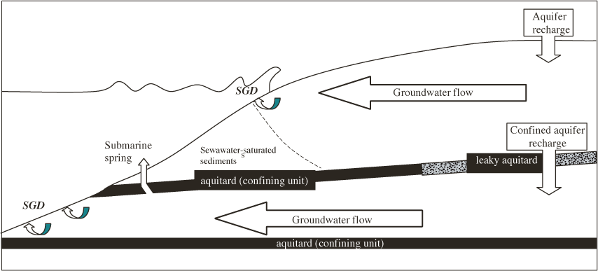 schwartzFig1